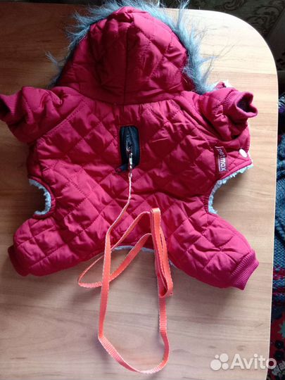 Одежда для маленькой собачки