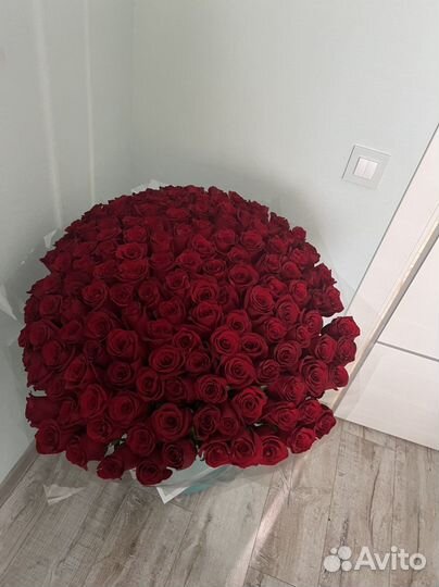 Розы Симферополь Доставка