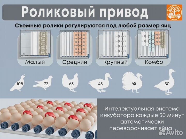 Инкубатор для яиц автоматический. Новый. Ряба 64