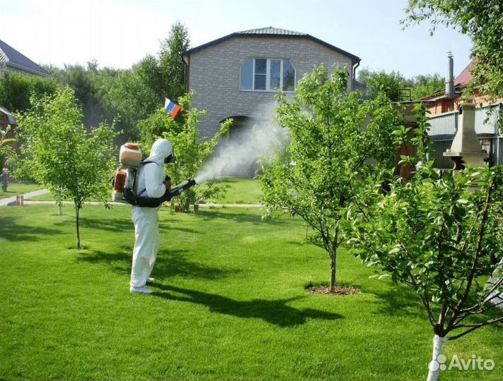 Обработка от комаров клещей короеда пауков кротов