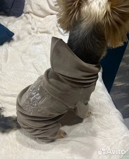 Комбинезон для маленькой собаки унисекс