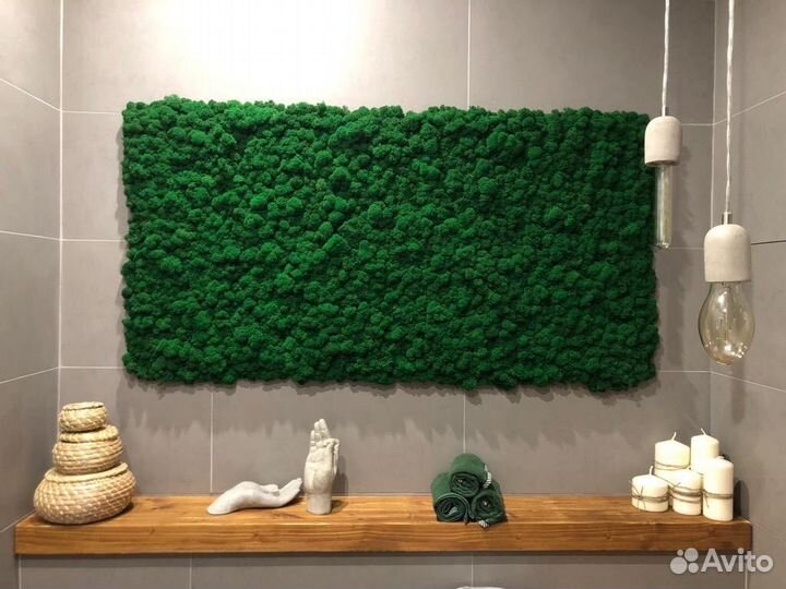 Панно из мха и растений / озеленение