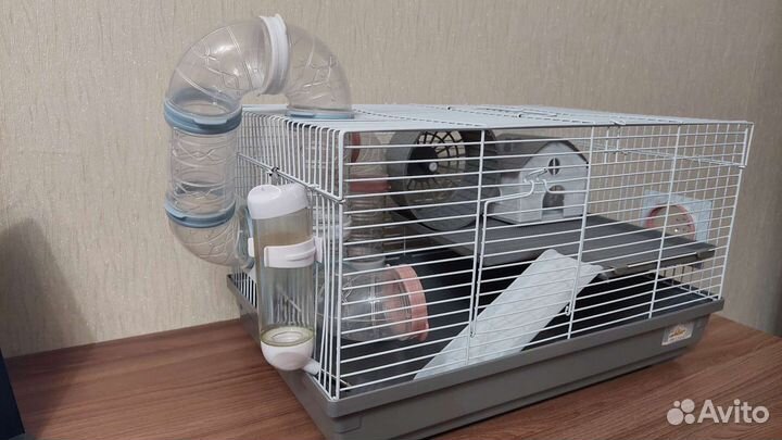 Клетка для грызунов бу