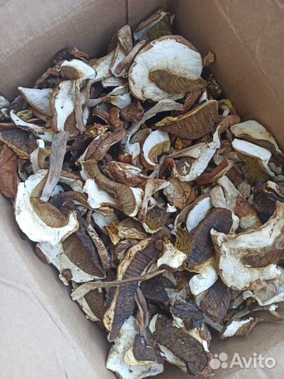 Белые грибы, рыжики, опята,ежевика лесная,шиповник