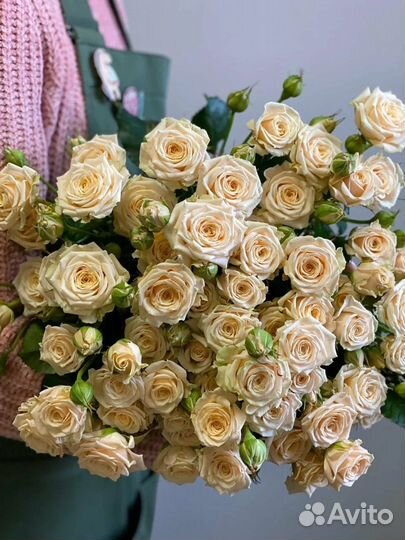 Роза кустовая в наличии