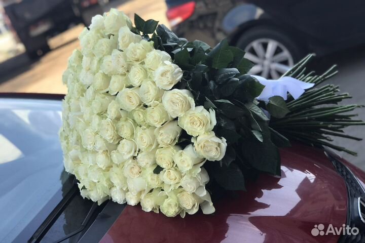 Розы Эквадор premium