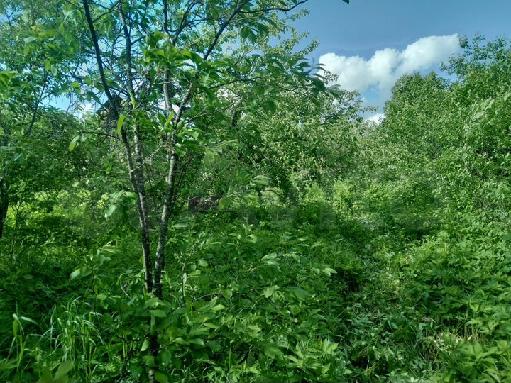 Участок 25 сот. (ИЖС)