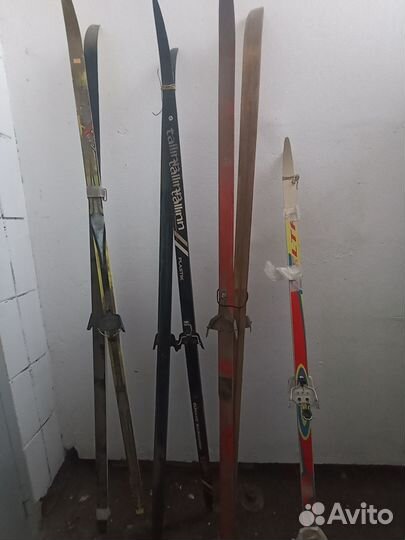 Беговые лыжи