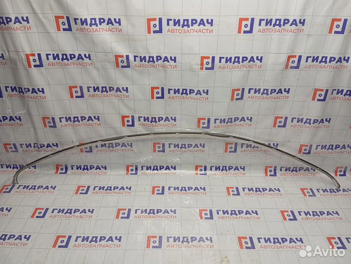 Молдинг крыши левый Volkswagen Passat CC 3C8854701C