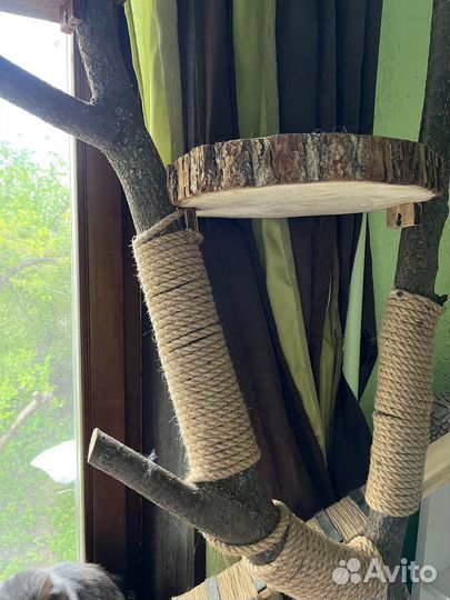 Дерево - когтеточка для кошки