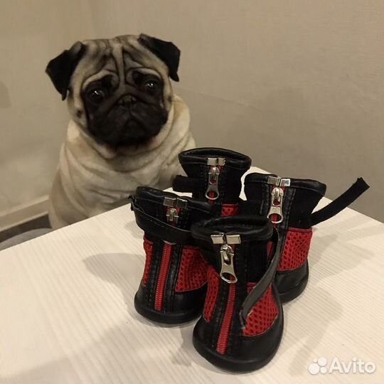 Обувь для собаки