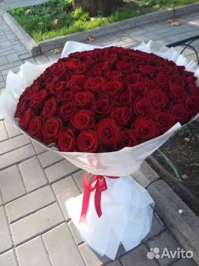 Роза 101 штука Доставка