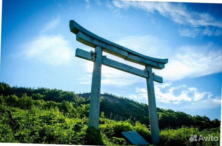 Тур поездка Сахалин летом экспедиция 6-8 дн