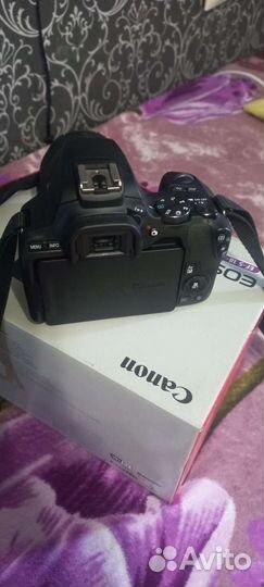 Зеркальный фотоаппарат canon eos 250 d