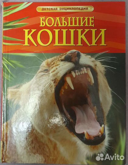 Детские энциклопедии