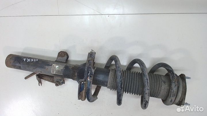 Амортизатор подвески Ford Transit, 2009