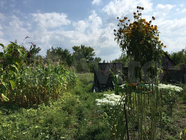 Дом 54 м² на участке 15 сот.