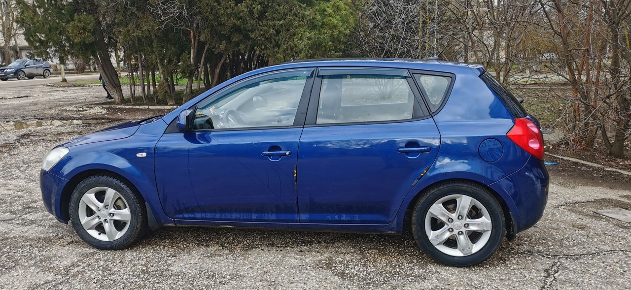 Kia Ceed: фото владельца