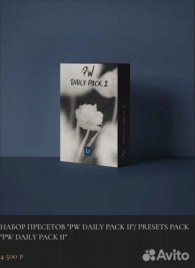 Пресеты Polina Washington botanical garden (11шт)