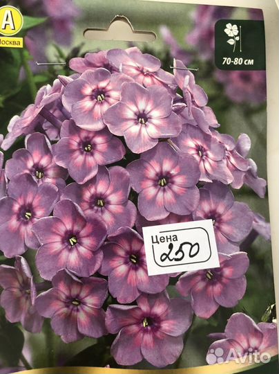 Многолетние цветы