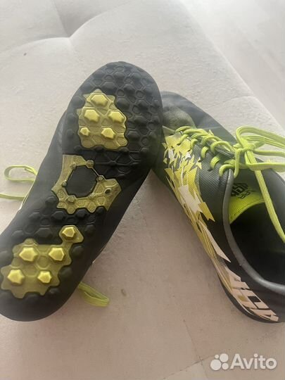 Сороконожки