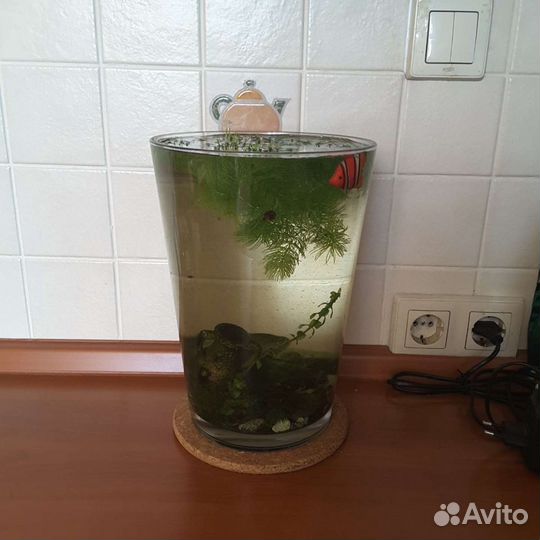 Аквариум икеа