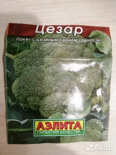 Рассада Капусты брокколи, цветная