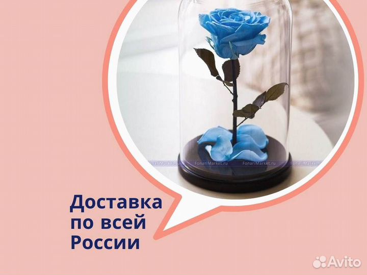 Роза в колбе. Новая