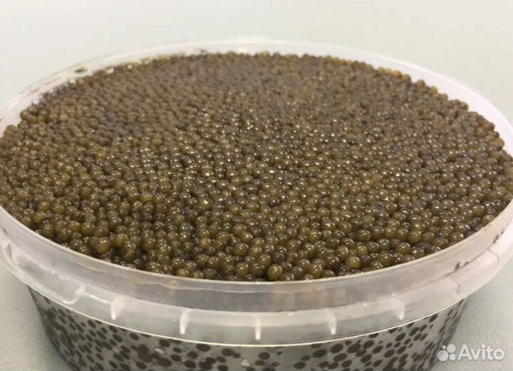 Дальневосточная черная