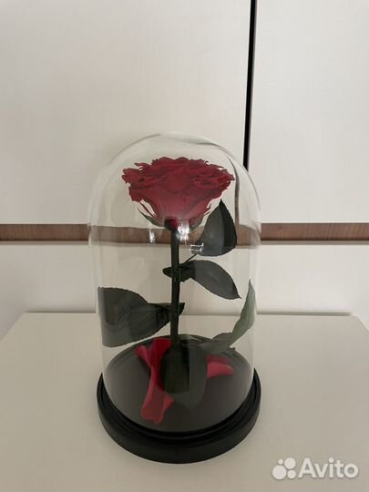 Вечная роза в колбе