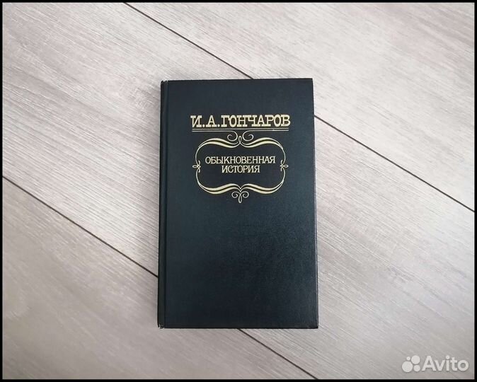 И.Гончаров, Обыкновенная история