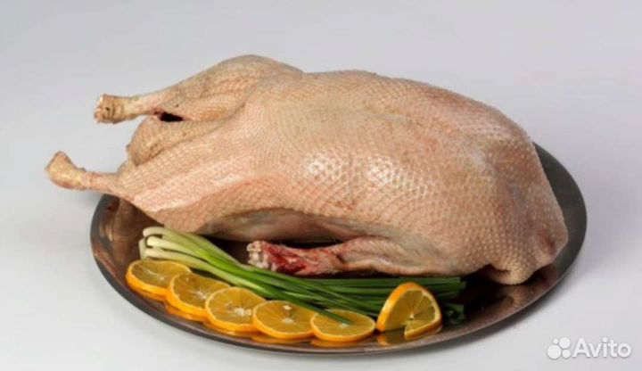 Гусь домашнее мясо гуся
