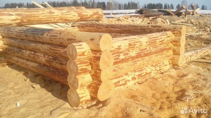 Сруб дома баня из зимнего леса с доставкой