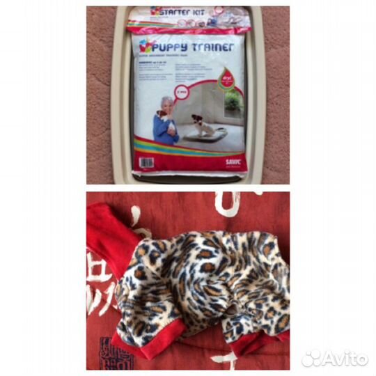 Лоток (туалет), комбинезон для маленькой собачки