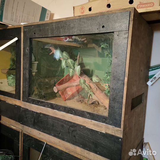 Террариумы