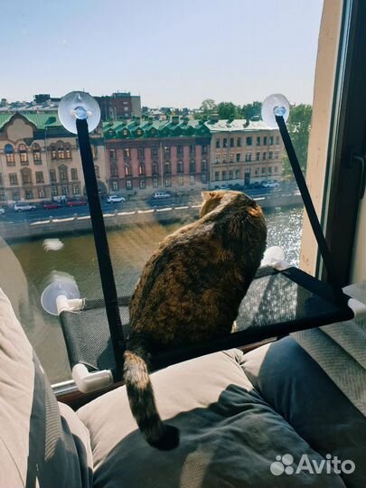 Гамак - лежак для кота и кошки на окно. Новый