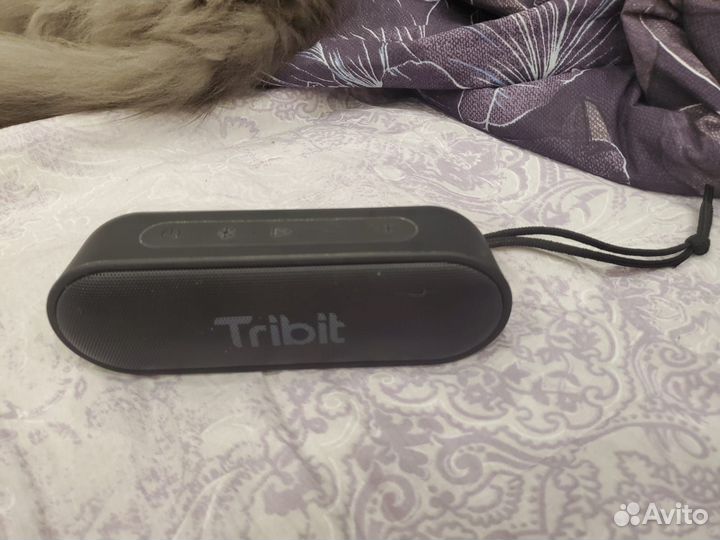 Блютуз колонка Tribit XSound GO