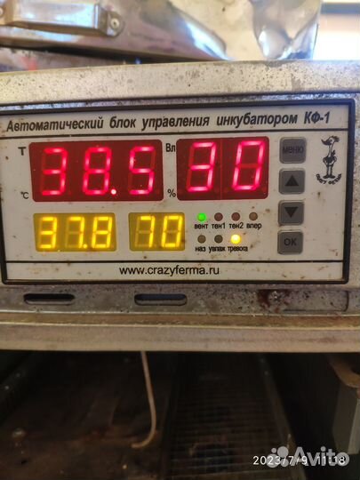Распродаю птицеферму. Клетки, брудеры, инкубаторы