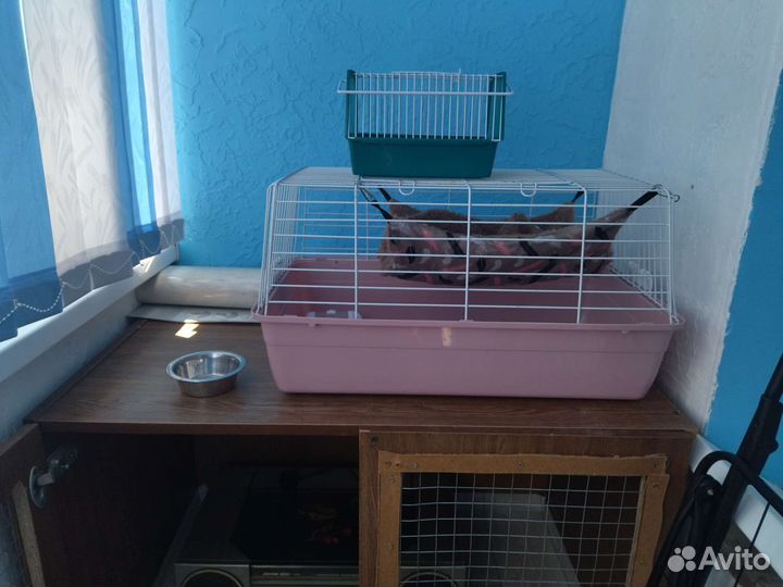 Клетка для грызунов бу