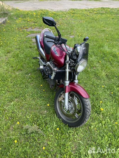 Honda hornet 600