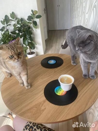 Деревянный стол