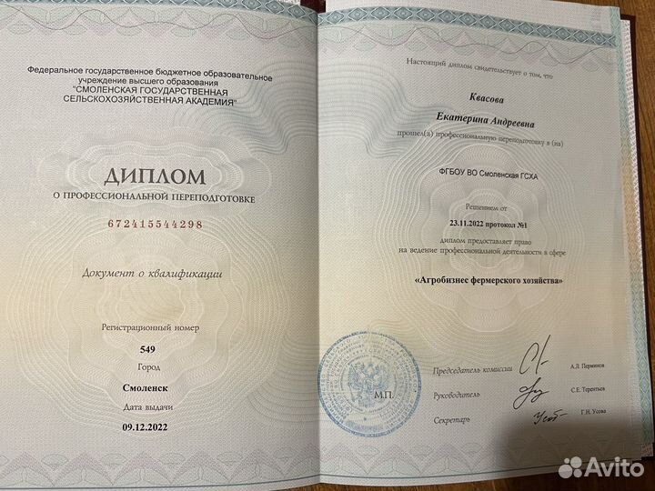 Обрезка плодовых деревьеви кустарников