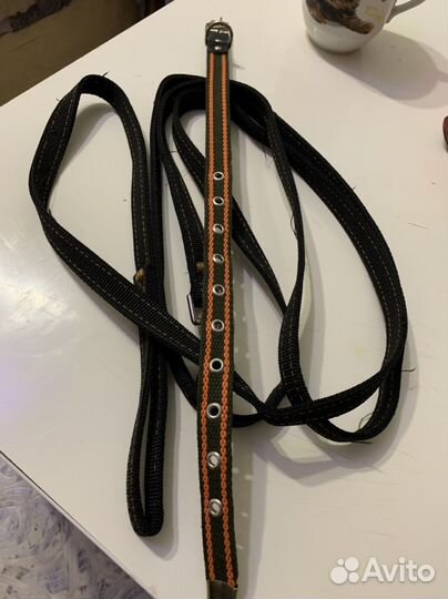 Ошейник и поводок