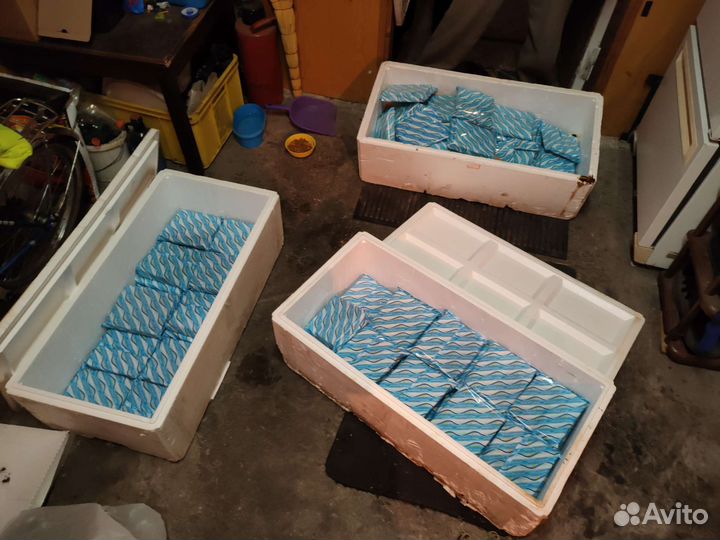 Хладоэлемент Аккумулятор холода