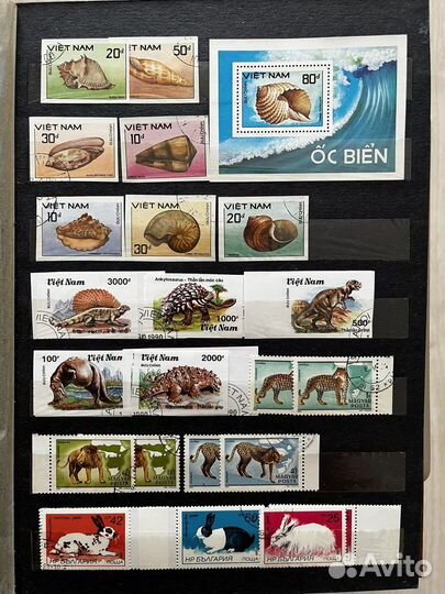 Почтовые марки(флора и фауна)