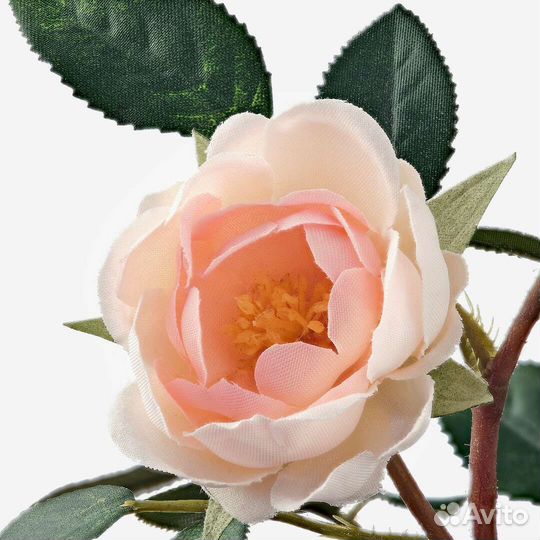 Фейка Роза и Крестовник IKEA и кашпо