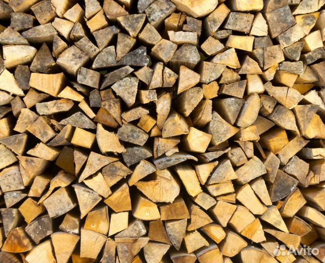 Дрова осина