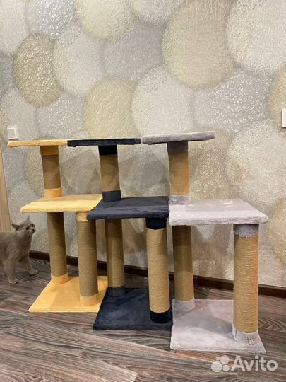 Когтеточка для кошек новая