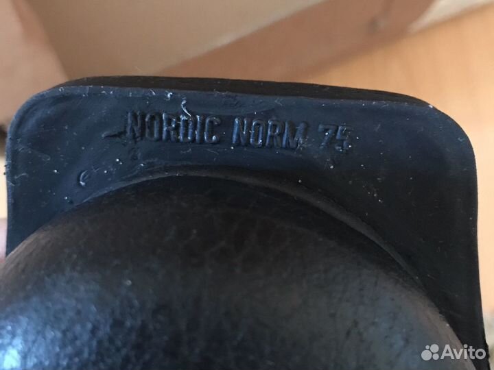 Лыжные ботинки