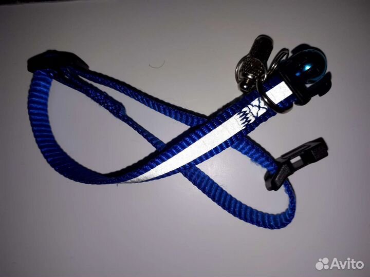 Адресник и ошейник